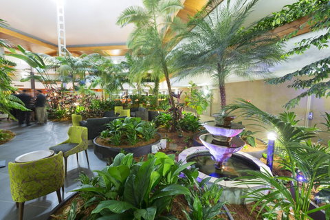 Pavilion On Northbourne - Darwin Tourism 2