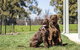 Abode Narrabundah - thumb 21