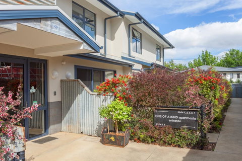 One Of A Kind Apartments - Darwin Tourism 36