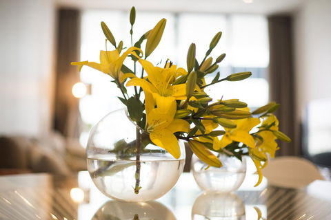 KUI - Manhattan Apartments - Darwin Tourism 0