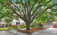 Canberra Luxury Apartment 3 - thumb 29