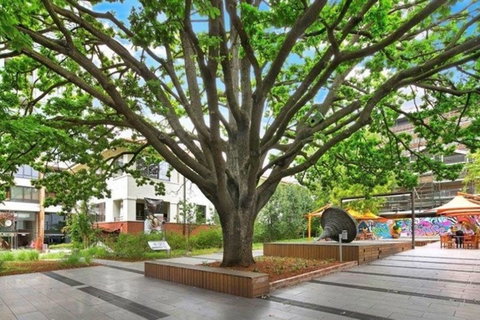 Canberra Luxury Apartment 3 - Darwin Tourism 29