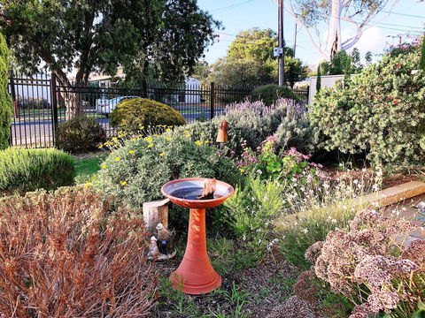 Beautiful Garden House - Darwin Tourism 21