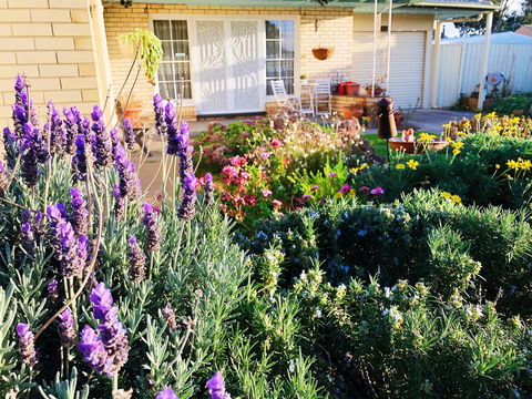 Beautiful Garden House - Darwin Tourism 9