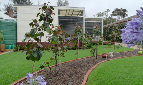 Grassmere House Magill - Darwin Tourism 19