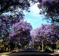 Monaco Court Apartment Adelaide - Darwin Tourism
