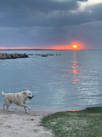 Book Meningie Accommodation Vacations Darwin Tourism Darwin Tourism