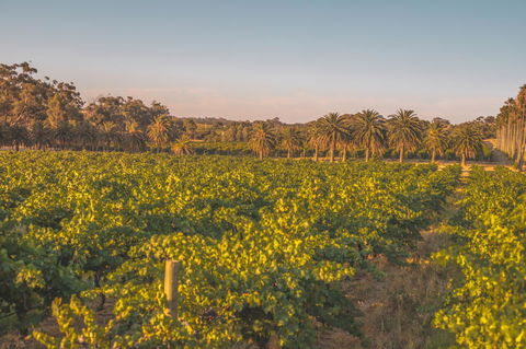 Seppelts View Cabins - Darwin Tourism 8