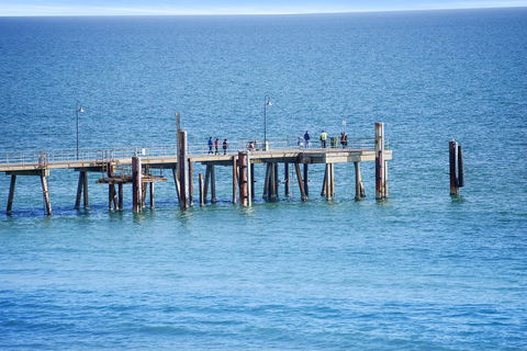 Pier Luxury Apartments - Darwin Tourism 1