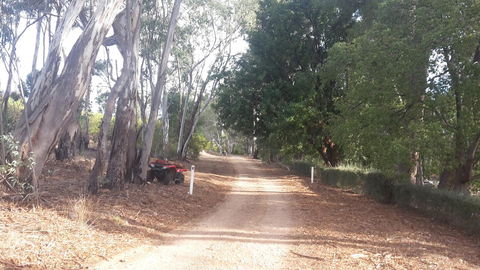 Taralee Orchards - Darwin Tourism 4