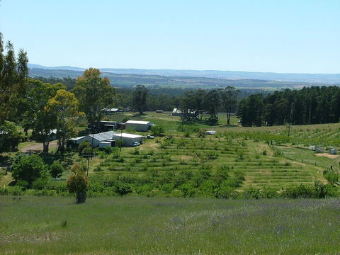 Taralee Orchards - Darwin Tourism 0