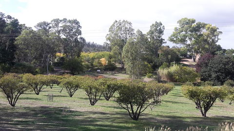 Taralee Orchards - Darwin Tourism 1