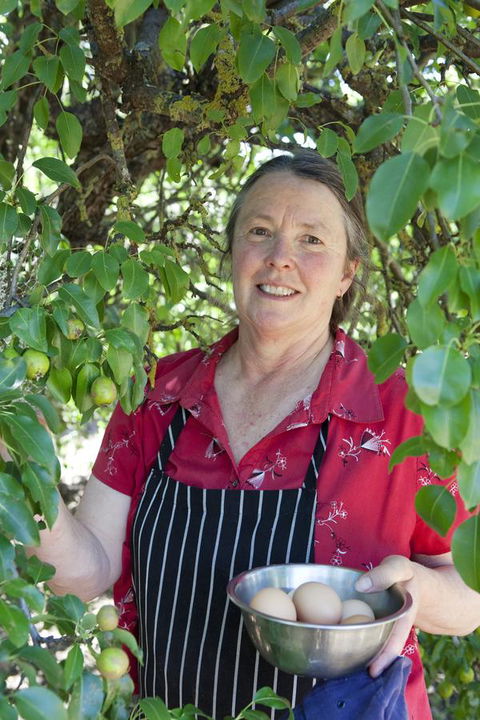 The Fruiterer's - Darwin Tourism 6