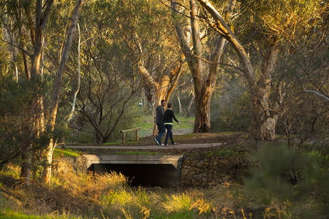BIG 4 Barossa Tourist Park - Darwin Tourism 26