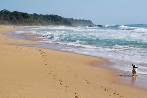 Culburra Beachhouse - Darwin Tourism 7
