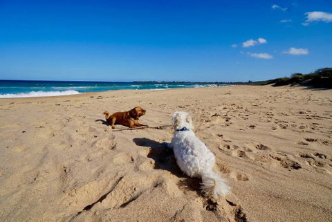 Culburra Beachhouse - Darwin Tourism 8