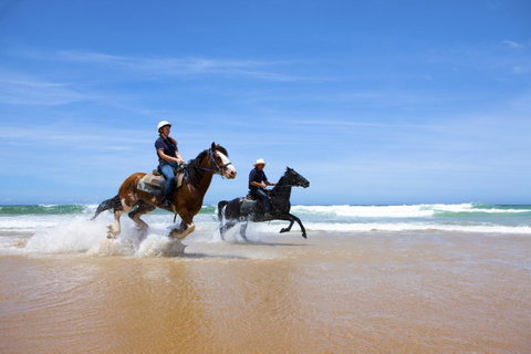 One Mile Retreat - Darwin Tourism 26