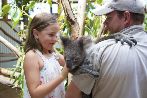 One Mile Retreat - Darwin Tourism 16