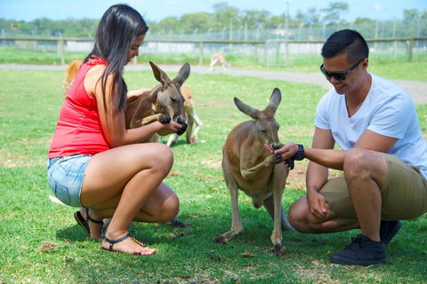 One Mile Retreat - Darwin Tourism 25