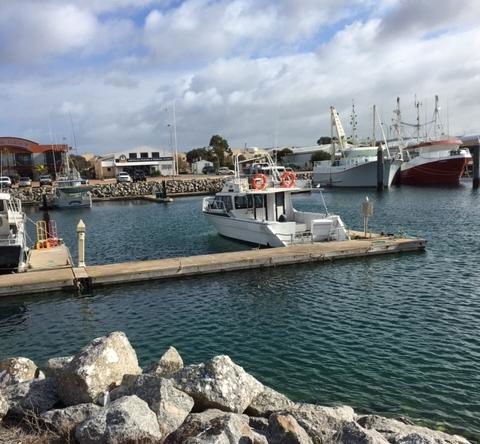 Port Lincoln Shark Apartment 3 - Darwin Tourism 1