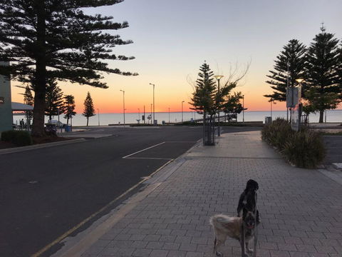 BIG4 Ceduna Tourist Park - Darwin Tourism 34