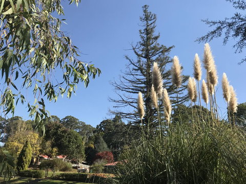 Forest Lodge Resort - Darwin Tourism 24