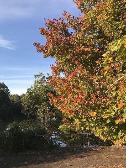 Forest Lodge Resort - Darwin Tourism 32