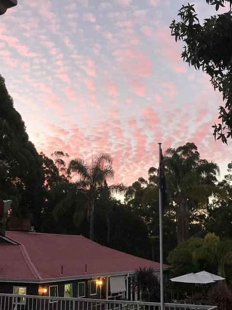 Forest Lodge Resort - Darwin Tourism 44