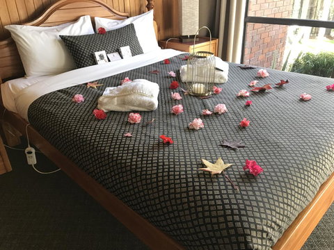 Forest Lodge Resort - Darwin Tourism 3