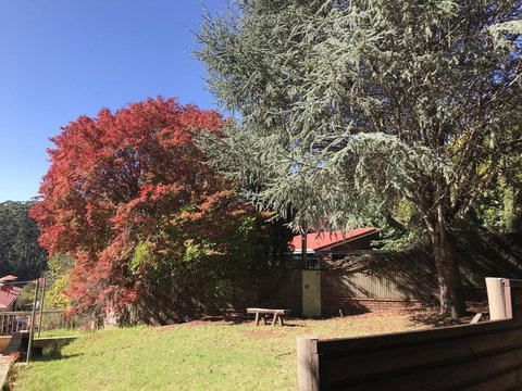 Forest Lodge Resort - Darwin Tourism 42