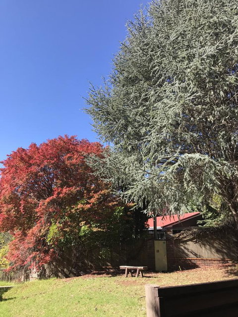 Forest Lodge Resort - Darwin Tourism 35