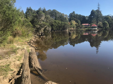 Forest Lodge Resort - Darwin Tourism 23