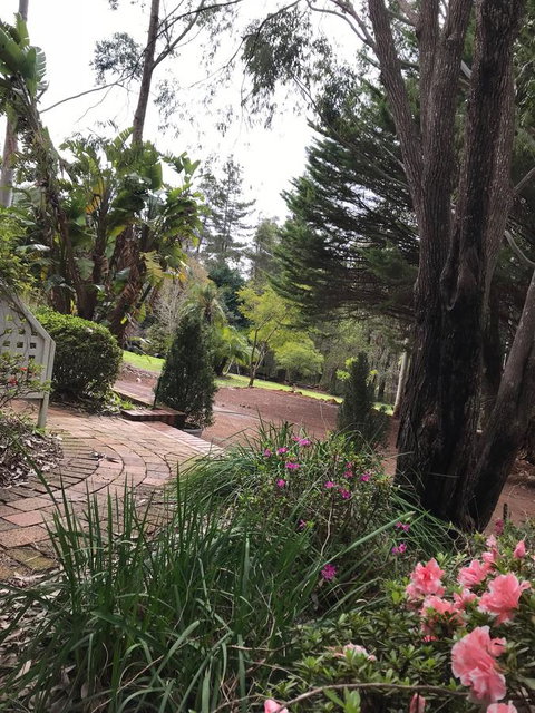 Forest Lodge Resort - Darwin Tourism 10