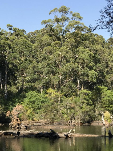 Forest Lodge Resort - Darwin Tourism 22