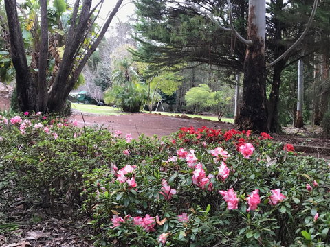 Forest Lodge Resort - Darwin Tourism 12