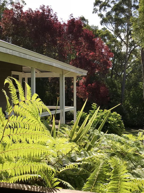 Forest Lodge Resort - Darwin Tourism 14