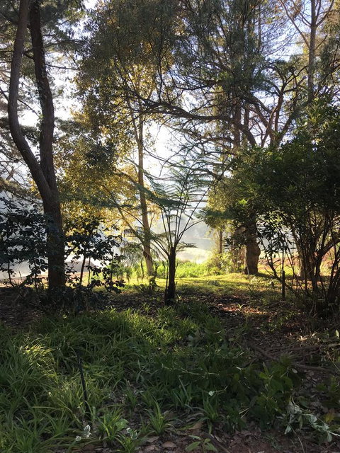 Forest Lodge Resort - Darwin Tourism 33