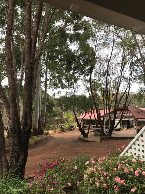 Forest Lodge Resort - Darwin Tourism 9