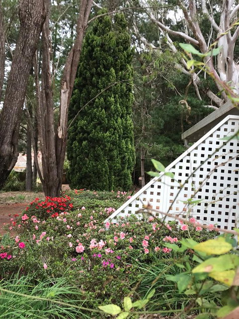 Forest Lodge Resort - Darwin Tourism 7