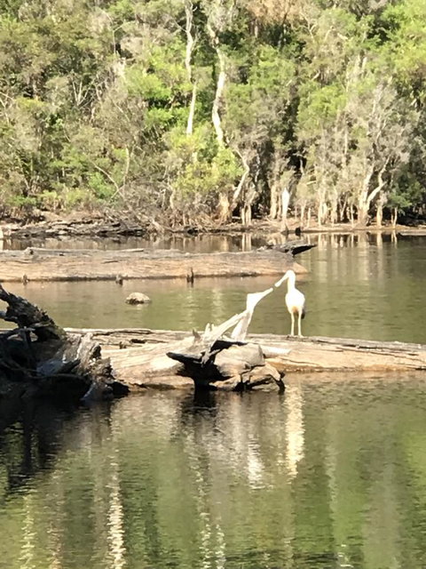 Forest Lodge Resort - Darwin Tourism 25