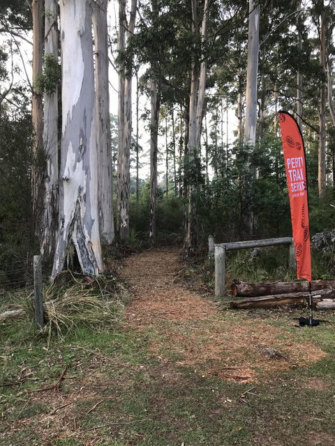 Forest Lodge Resort - Darwin Tourism 28