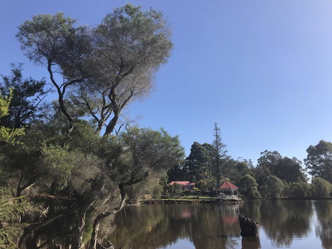 Forest Lodge Resort - Darwin Tourism 36