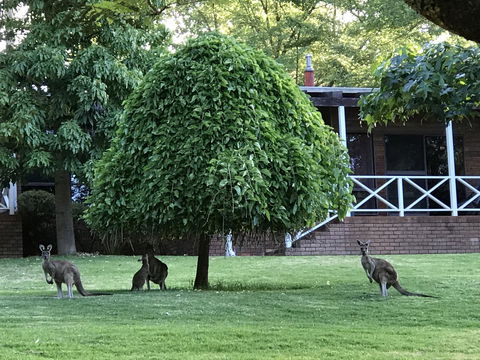 Forest Lodge Resort - Darwin Tourism 1