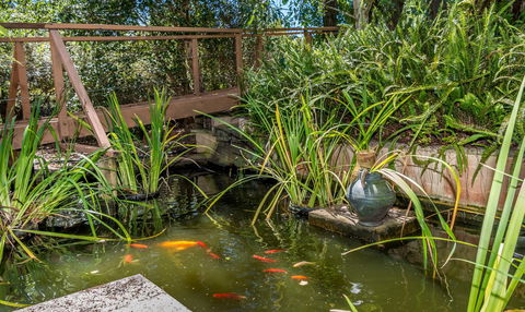 Chimes Spa Retreat - Darwin Tourism 27