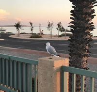 Shark Bay Seafront Apartments - Darwin Tourism