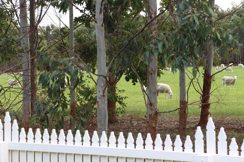 Sapphire Chalets, Augusta - Darwin Tourism 9