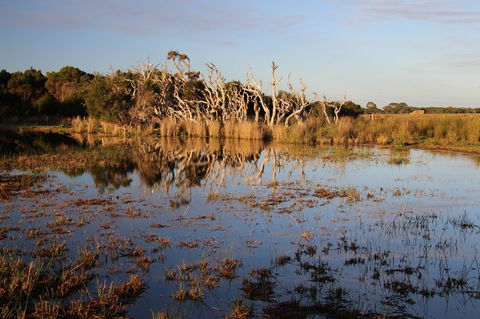 Sapphire Chalets, Augusta - Darwin Tourism 13