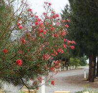 The Heights Bed  Breakfast - Darwin Tourism