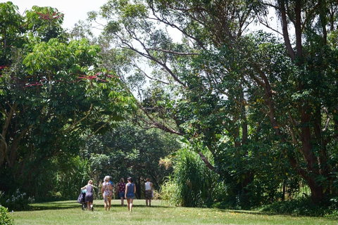 Ingenia Holidays Byron Bay - Darwin Tourism 11
