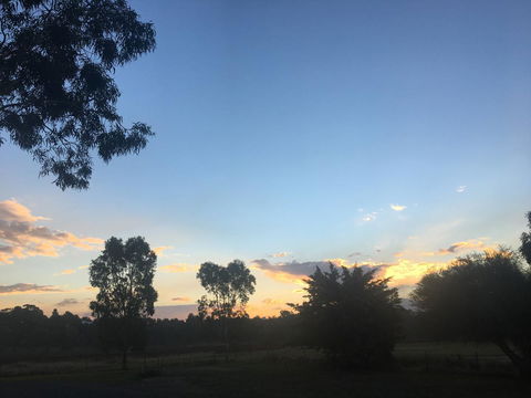 Junee Motor Inn - Darwin Tourism 26